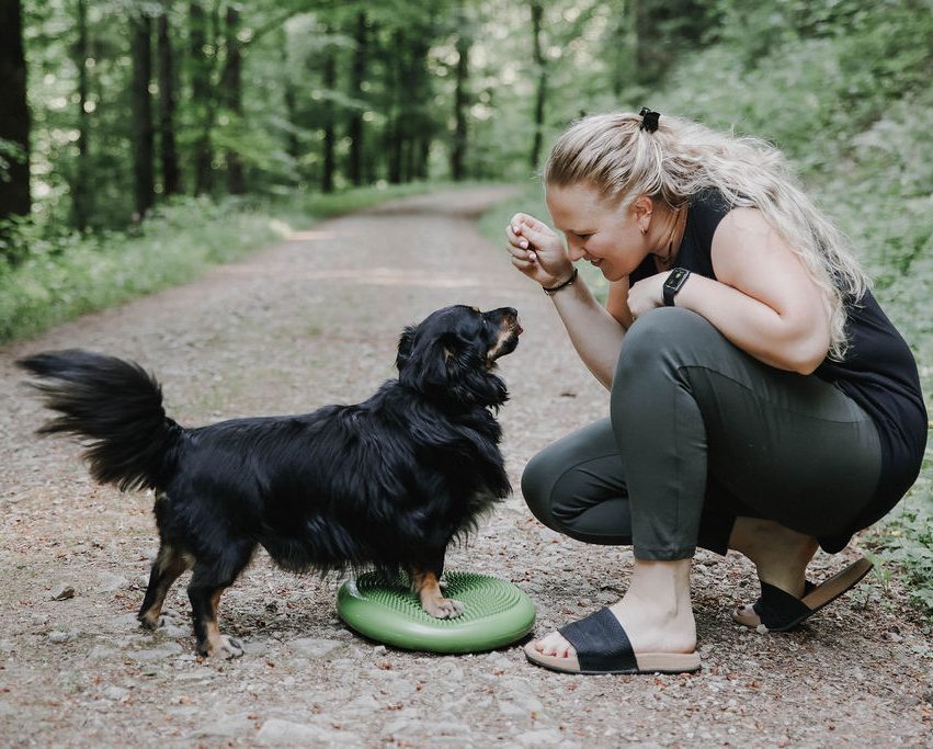 Ihre Praxis für Hundephysiotherapie Ihre Praxis für Hundephysiotherapie